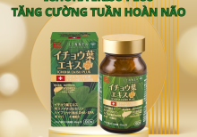 ICHOHA EKISU PLUS – Tăng cường tuần hoàn não