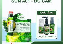 Son dưỡng môi Pơ Lang màu Đỏ Cam dưỡng môi từ trái bơ - A01