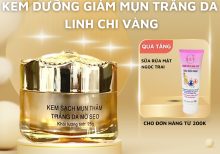 Kem trị mụn trị thâm trắng da mờ sẹo Linh Chi Vàng 25g