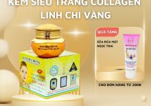 Kem siêu trắng Collagen Linh Chi Vàng 20G