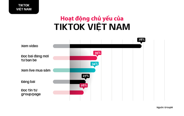 Hoạt động chủ yếu của Tiktoker Việt Nam