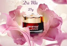 Kem trị nám, tàn nhang, đồi mồi Linh Chi Vàng 25g