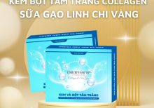 Kem và bột tắm trắng Collagen và Sữa Gạo Linh Chi Vàng
