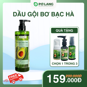 Dầu Gội Thảo Dược Pơ Lang Giảm Rụng Tóc Tinh Chất Bơ Bạc Hà 300g