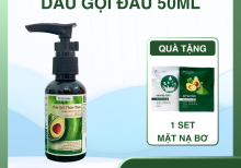 Dầu Gội Đầu Bơ Gừng Bưởi Pơ Lang Phục Hồi Giảm Rụng Tóc 50ml