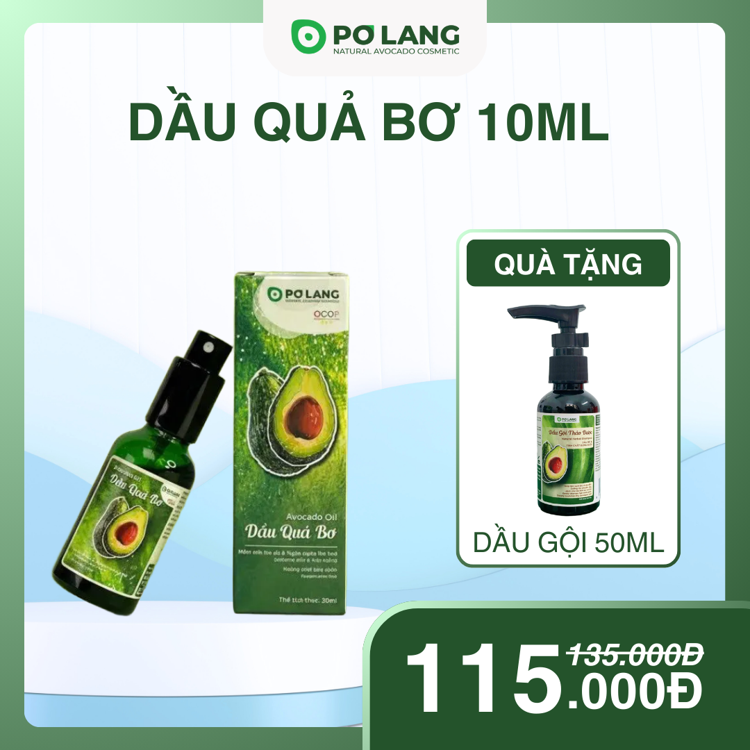 Dầu quả bơ Pơ Lang 10ml Dầu quả bơ Pơ Lang 10ml