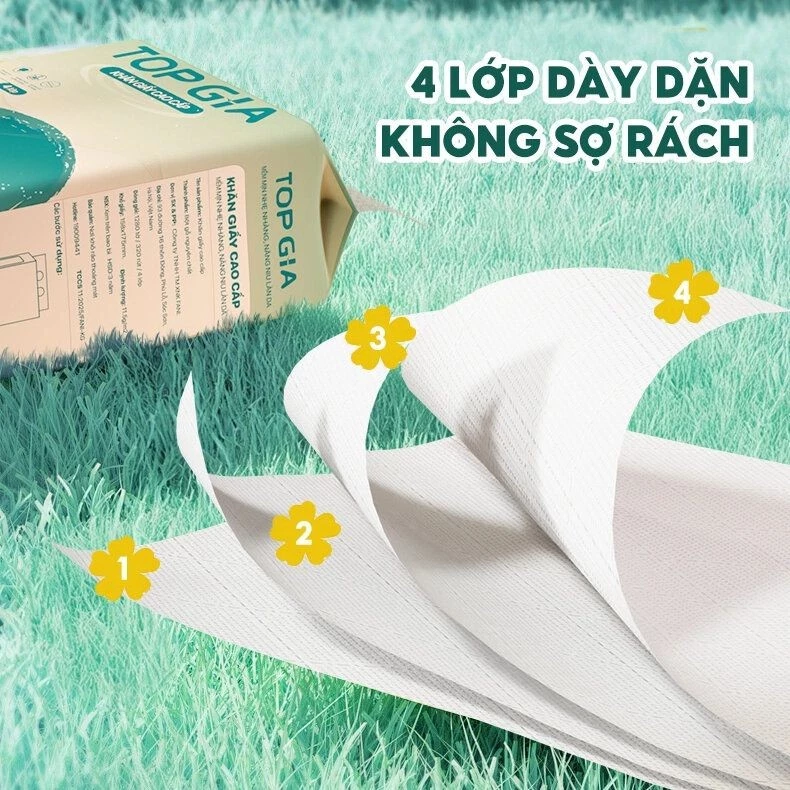 Giấy rút đáy Sắc Việt Top Gia